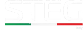STEG logo — car audio brand stocked by Han Revolution Singapore