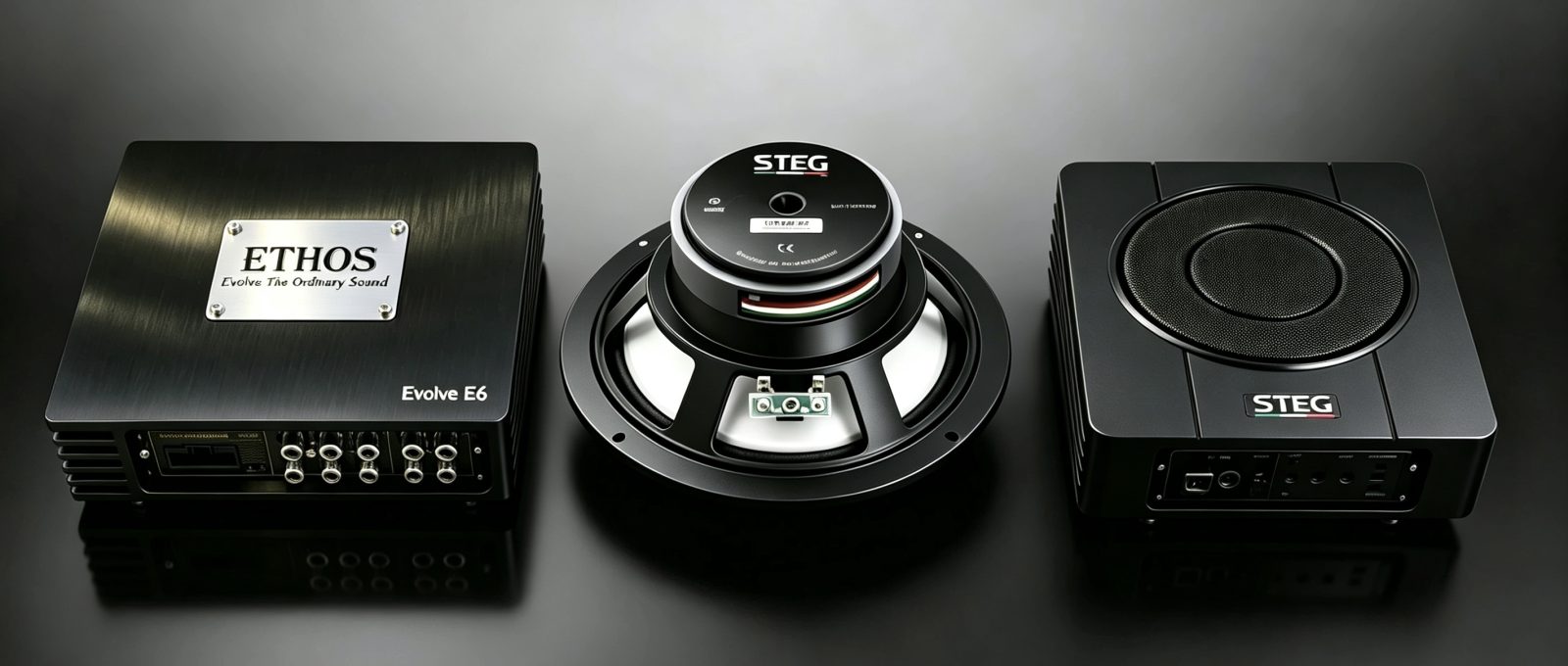 Platinum package components — Steg & Ethos speakers, amplifier and subwoofer supplied by Han Revolution